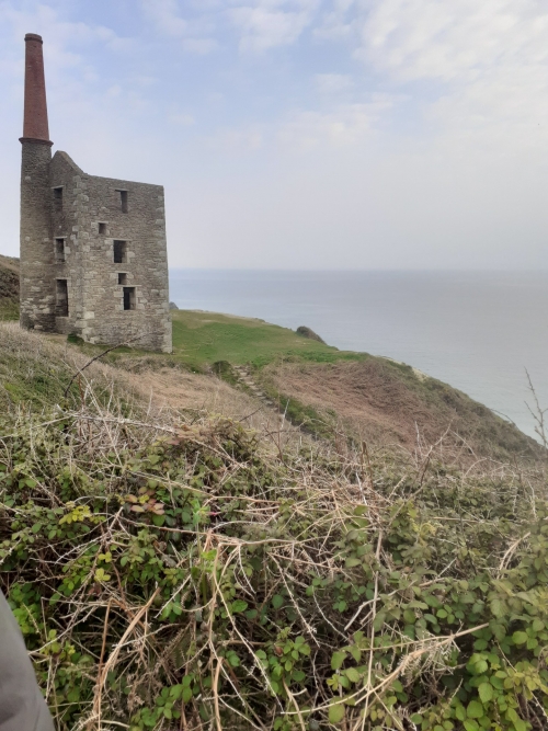 Hendra and Praa Sands Walk to Rinsey Head