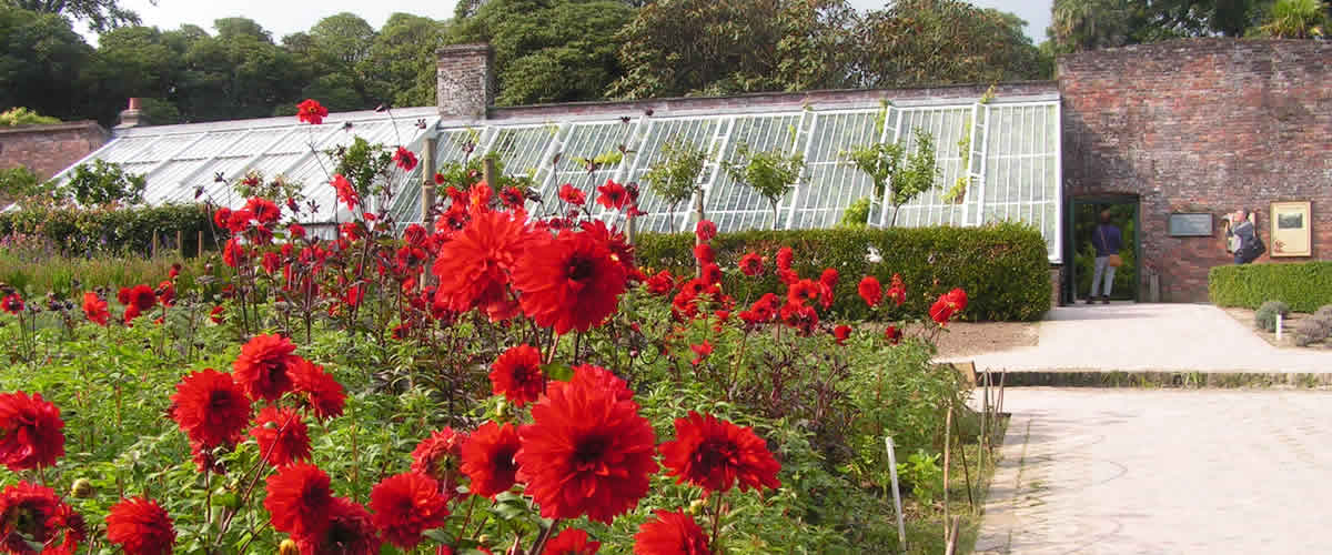 The Lost Gardens of Heligan